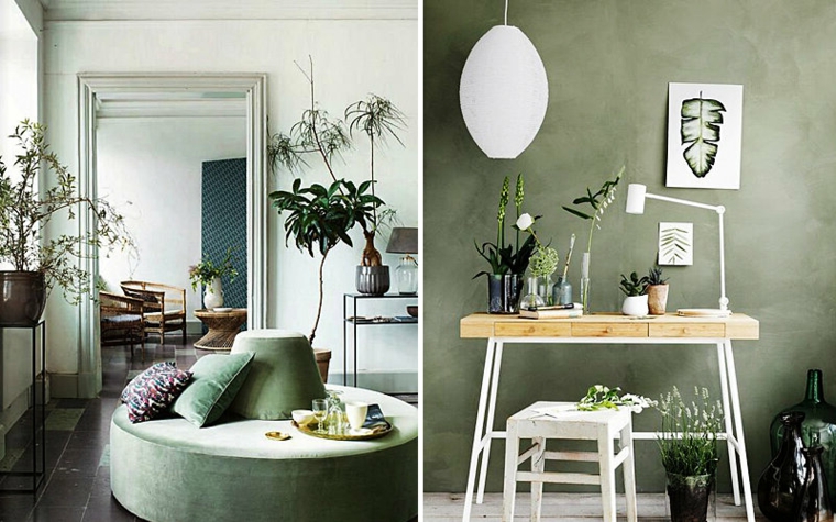 tonalità di verde per pareti interne colore salvia salotto con piante da appartamento
