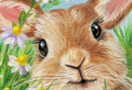 Disegni di Pasqua da stampare e colorare: attività per bambini e adulti!