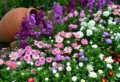 Idee per aiuole giardino fai da te: piante e suggerimenti utili da seguire!