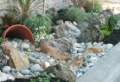 Idee per aiuole giardino fai da te: piante e suggerimenti utili da seguire!