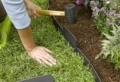 Idee per aiuole giardino fai da te: piante e suggerimenti utili da seguire!
