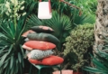 Abbellire il giardino con pochi soldi: ecco il modo più semplice per farlo!