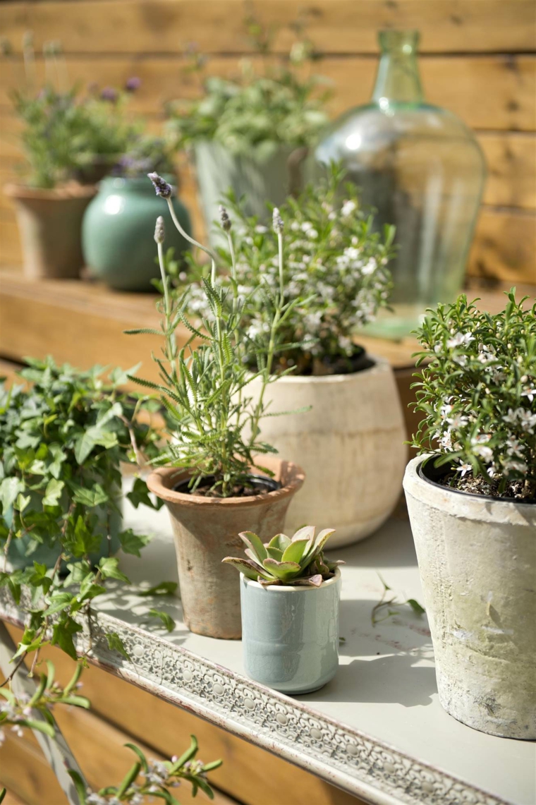 idee come abbellire il giardino decorazioni con vasi di terracotta con piante