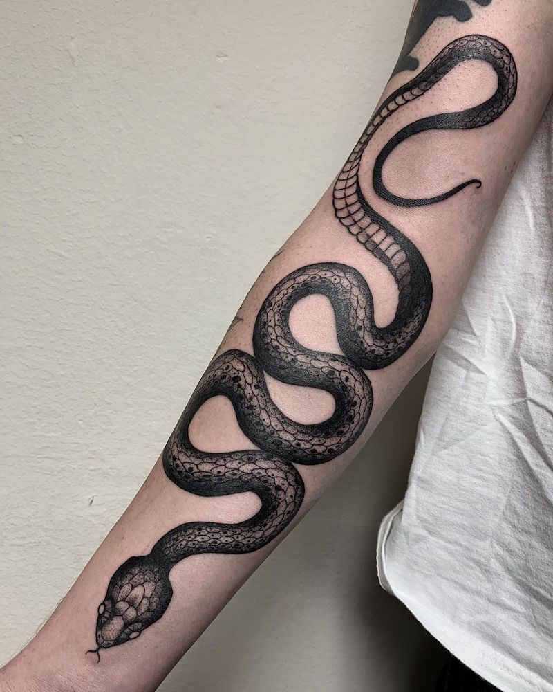 avambraccio donna con tattoo cosa simboleggia il serpente