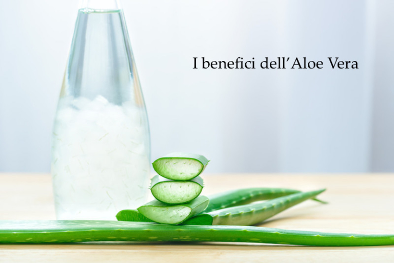 Benefici dell'aloe vera per il nostro corpo Archzine.it