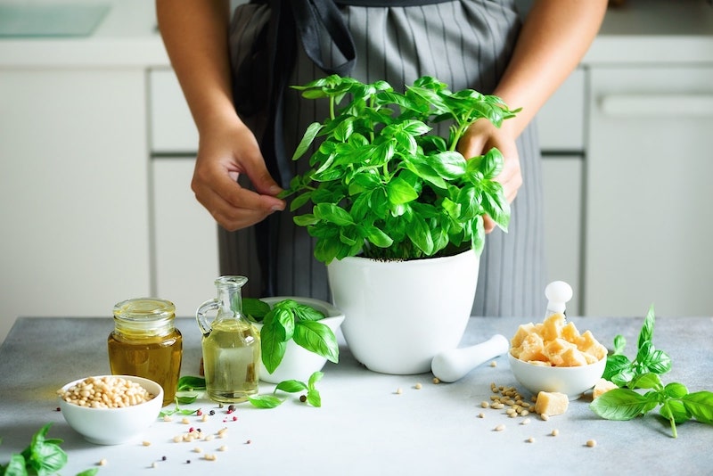 conservare il basilico preparazione pesto genovese