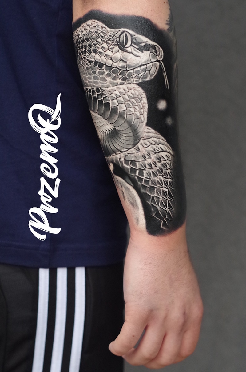 disegno tatuaggio realistico serpente tattoo braccio