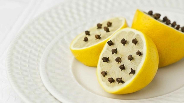 limone con chiodi di garofano antimosche naturale