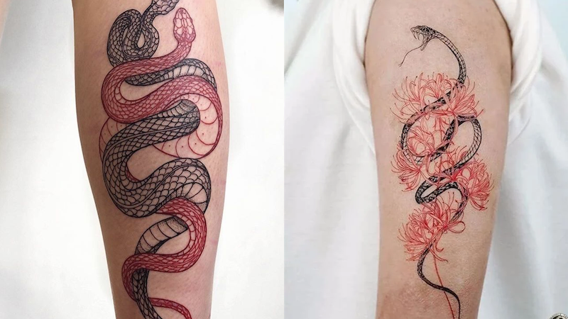 serpente tattoo giapponese colore nero e rosso