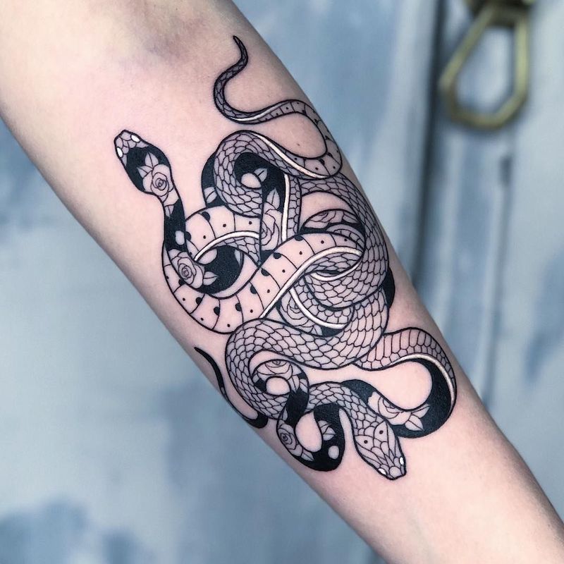 tatuaggio serpente piccolo due vipere attorcigliate