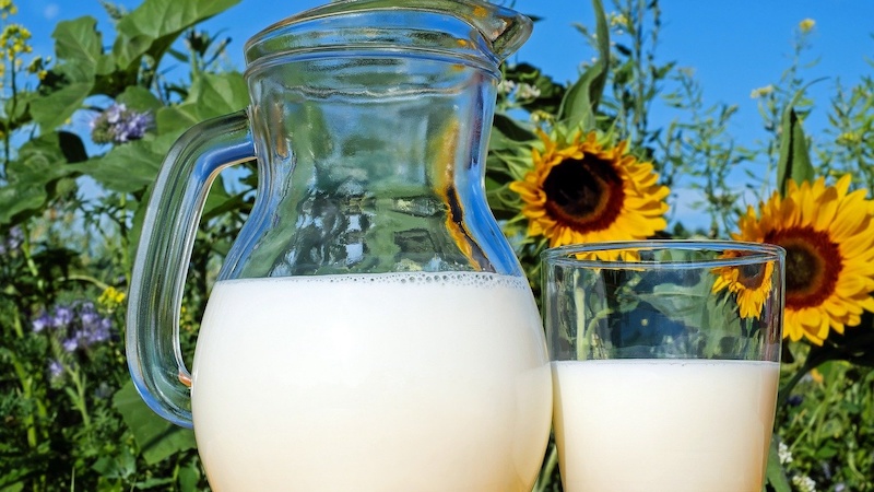 caraffa di latte per combattere gli afidi delle piante