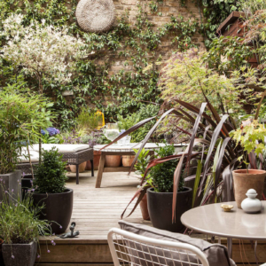 Gelsomino rampicante in vaso e in giardino: come prendersi cura dell’arbusto dal profumo eccezionale!
