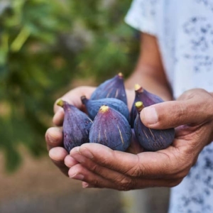 Le proprietà dei fichi d’India: i 6 motivi per consumarli, è la stagione!
