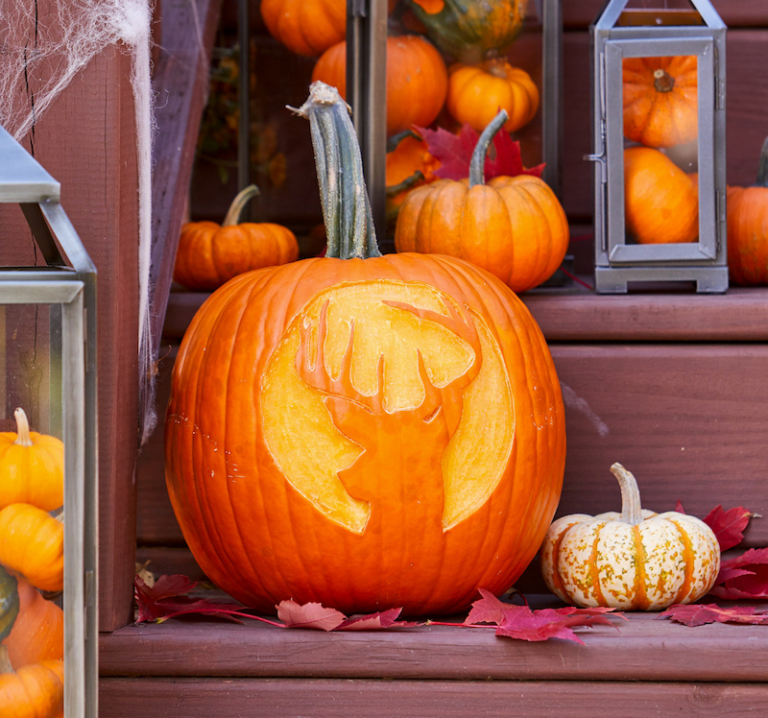 Come Intagliare La Zucca Di Halloween E I Metodi Pi Facili Archzine It