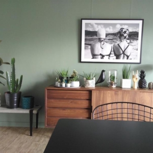 Tonalità verde acqua per pareti: 10 abbinamenti moderni da adottare nel vostro interior!