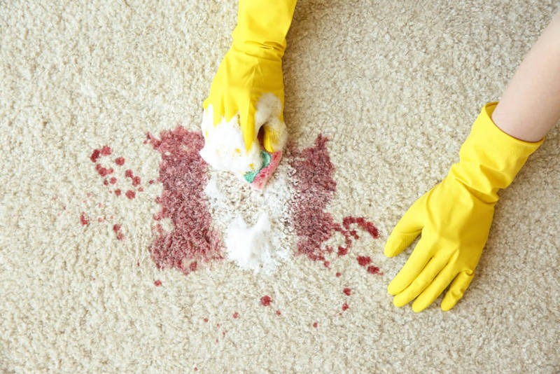 come smacchiare il sangue dal tappeto