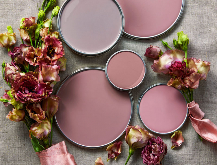 Come utilizzare il Color Malva senza timore per pareti, decorazioni e abbinamenti di successo!