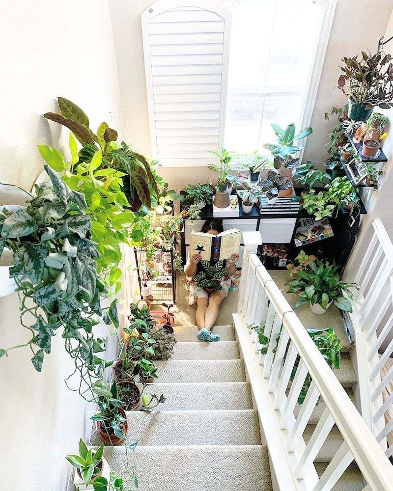 corridoio con scale decorate con vasi di piante