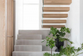 Come abbellire una scala interna con piante da interno super resistenti! Come abbinarle all’arredamento!