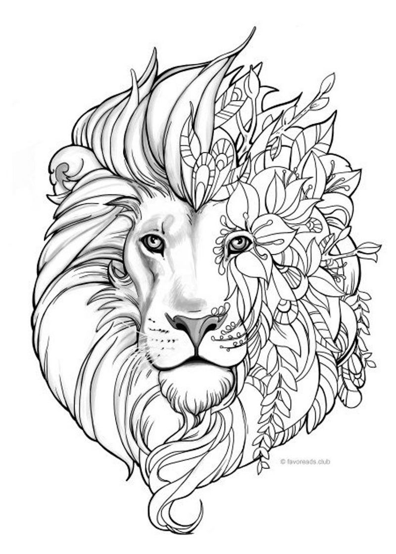 disegni difficili da colorare disegno di un leone