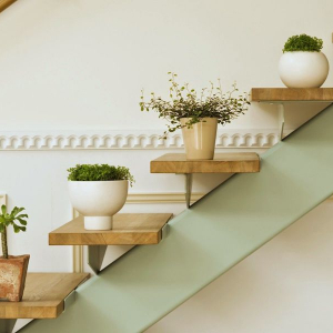 Come abbellire una scala interna con piante da interno super resistenti! Come abbinarle all’arredamento!