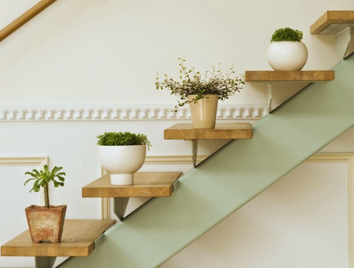 Come abbellire una scala interna con piante da interno super resistenti! Come abbinarle all’arredamento!