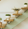 vasi di piante sulle scale