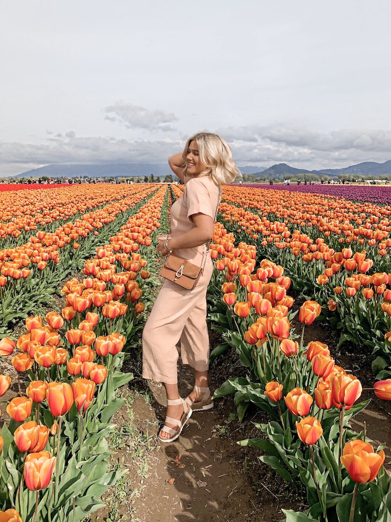 immagini primavera campo di tulipani