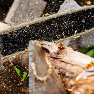 Motoseghe professionali a batteria