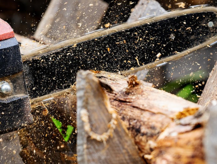 Motoseghe professionali a batteria