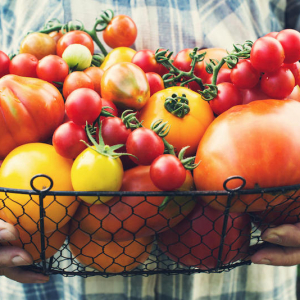 Pomodori da coltivare in vaso anche se hai poco spazio sul balcone!