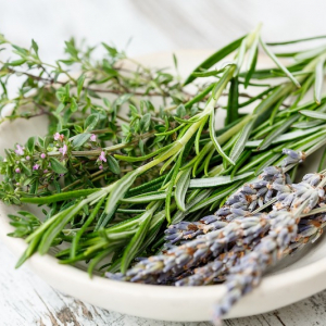 Come piantare il rosmarino dal seme e a cosa serve?