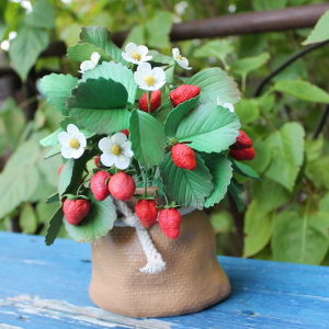 Quando piantare le fragole in vaso? La mini guida per un balcone alla Fragolina Dolcecuore!