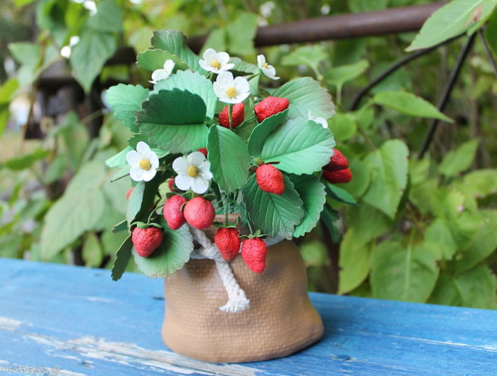 Quando piantare le fragole in vaso? La mini guida per un balcone alla Fragolina Dolcecuore!