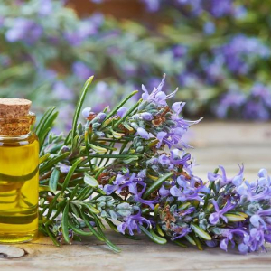 Le nostre 3 ricette per lo shampoo al rosmarino fai da te, scopri quanto è facile!