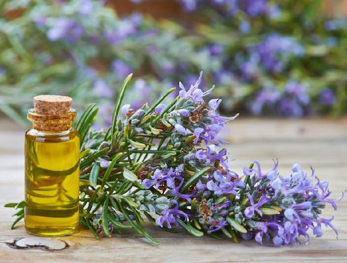 Le nostre 3 ricette per lo shampoo al rosmarino fai da te, scopri quanto è facile!