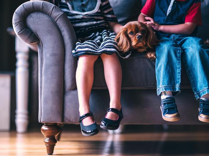 Idee per coprire con stile un divano macchiato o rovinato