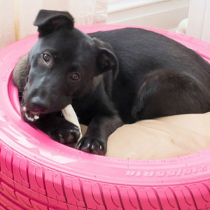 Come fare un vaso e pouf con il riciclo creativo dei vecchi pneumatici?