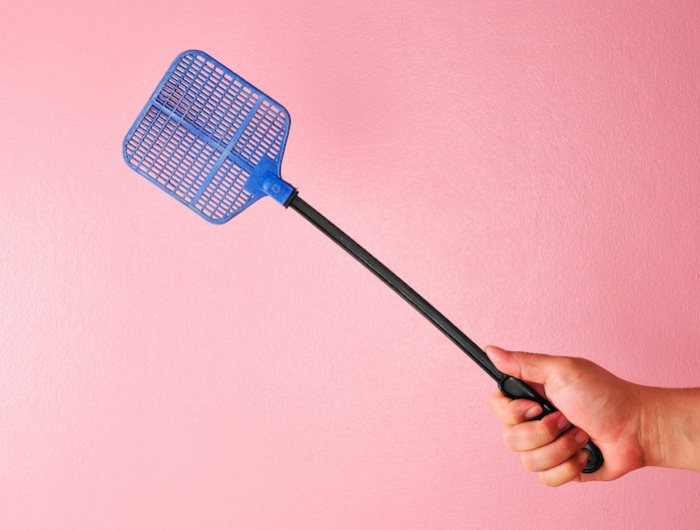Allontanare le mosche: 20 rimedi naturali da provare per sbarazzarsene in modo veloce!