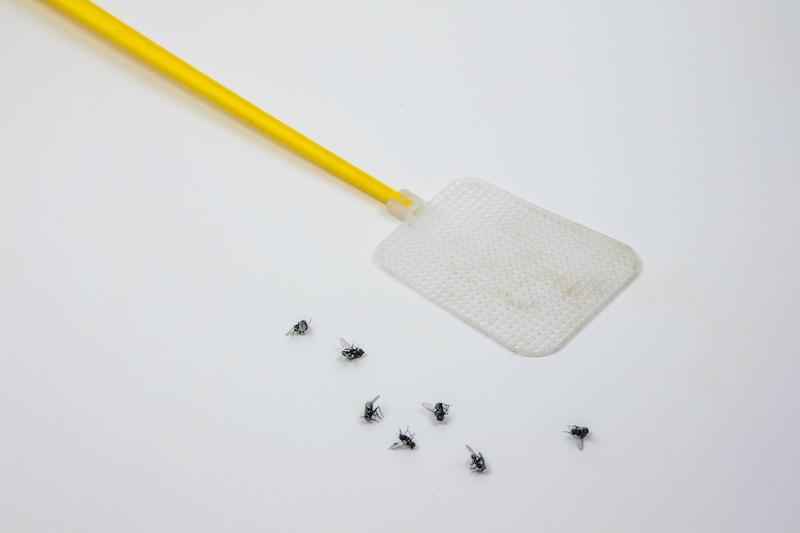 paletta per uccidere le mosche