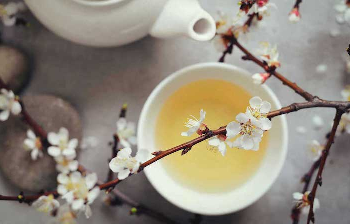 Tè per perdere peso: alleato ideale del regime alimentare e all’esercizio fisico!