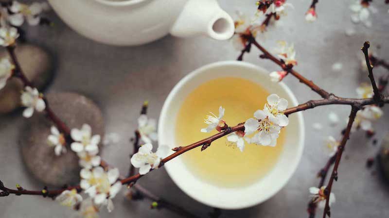 ramo fiorito su tazza di te bianco