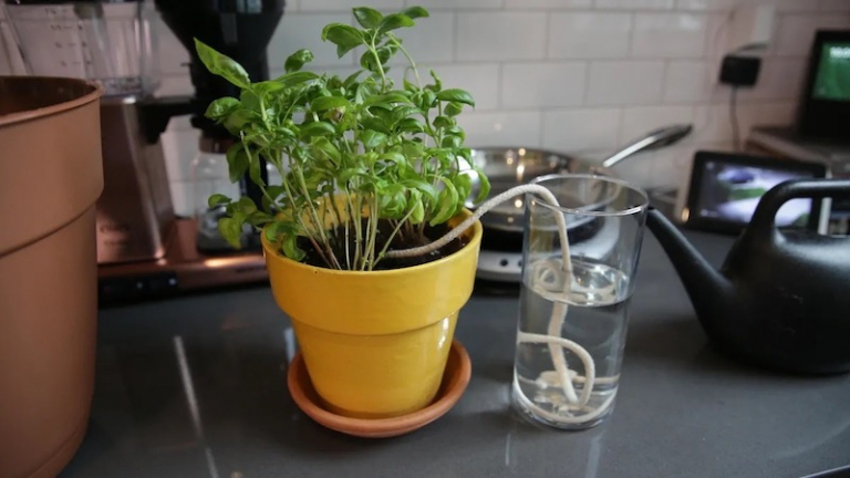 Globi Irrigatori In Terracotta Da 325 Ml – Innaffiatoi Automatici Per Piante, 2 Pezzi, Ideali Per Vacanze - 4