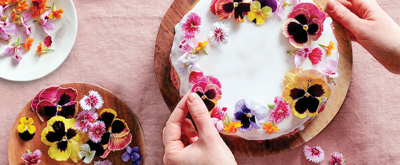 decorare una torta con petali di fiori