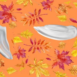 Skincare autunno: i consigli di base per una pelle morbida e senza irritazioni!