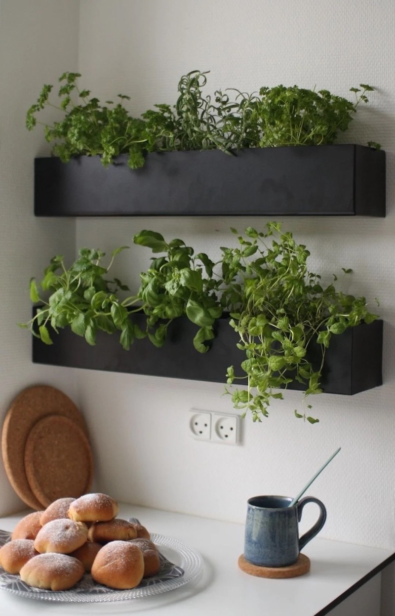 parete vegetale in cucina con erbe aromatiche