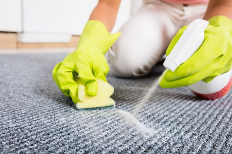 pulire le macchie dal tappeto