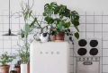 Idee per arredare con le piante: crea un legame con la natura e portala dentro casa!