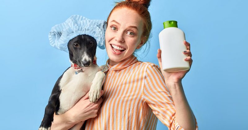 uso alternativo dello shampoo pulizia pelo cane
