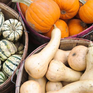 Come conservare la zucca cotta: semplici metodi per gustarla ogni volta che si vuole!